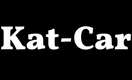 Kat-Car Skup Katalizatorów
